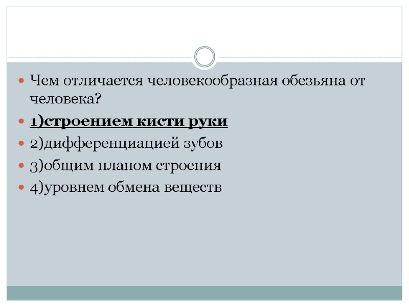 Чем отличается человекообразная обезьяна от человека? 1)строением кисти руки 2)дифференциацией зубов 3)общим планом строения